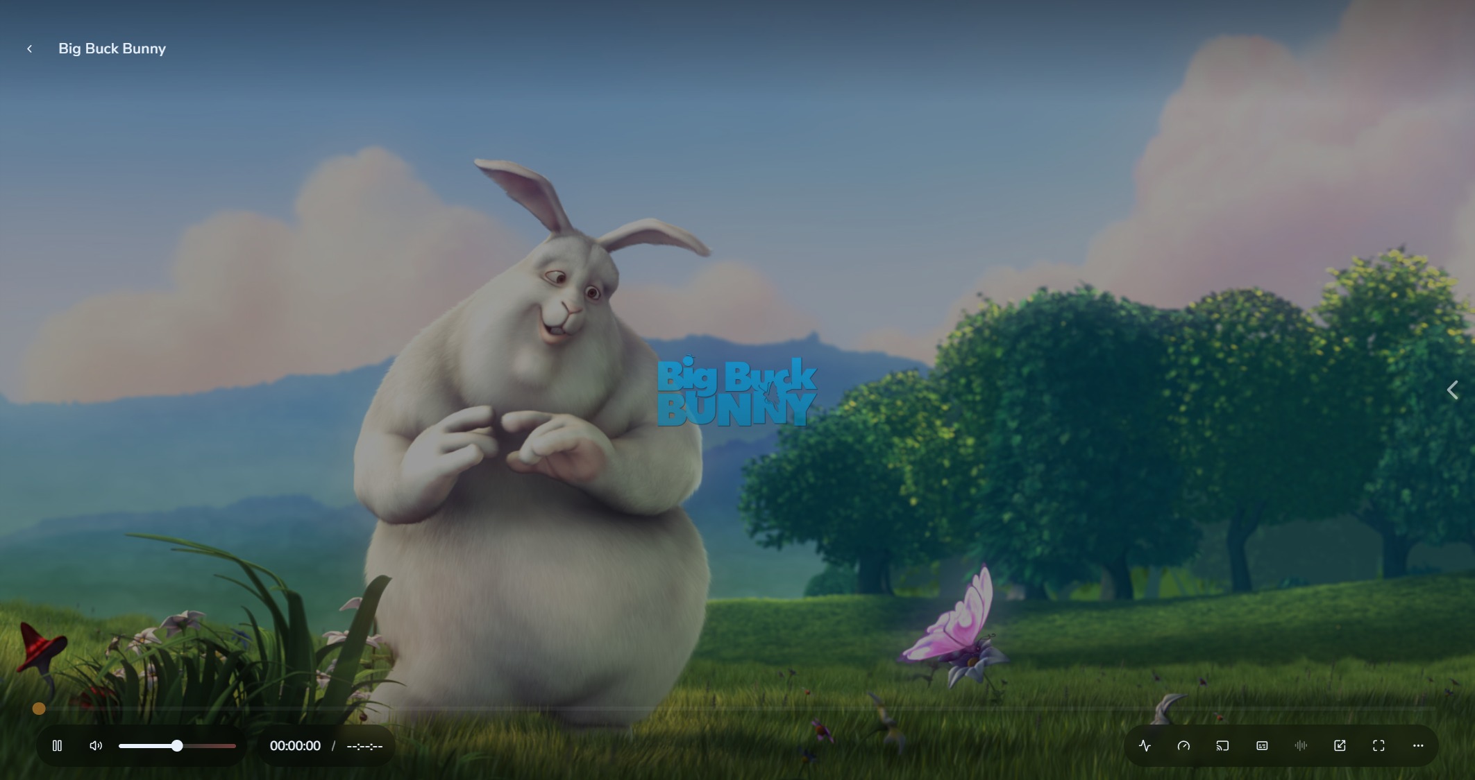 Rillio's native player showing the open movie Big Buck Bunny